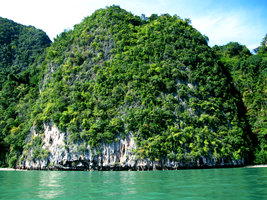 Karst tower covered by vertical forest,  Phang Nga Bay, Thailand