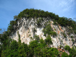 Karst and trees, Phang Nga, Thailand