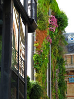 Rue d&#039;Alsace Vertical Garden and reflection, Sept 2010