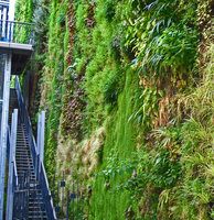 Rue d&#039;Alsace, Vertical Garden and staircase, Sept 2010