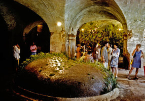 Seeping Rock and Hanging Blade by Patrick Blanc, In situ In visu exhibition, Albi, France