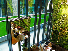 J and T Banka Café, mirrors and reflexion, Oct.  2010