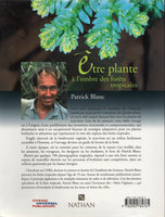 Etre plante à l&#039;ombre des forêts tropicales