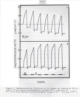 Thesis,  Jean-Luc Le Gouallec