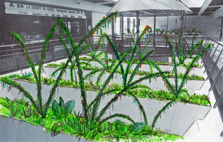 Les Cannes à Pêche du Kiosque, project by Patrick Blanc, Creteil Soleil, July 2001