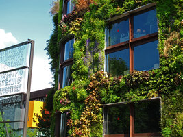 Musée du Quai Branly, détails et reflets, mai 2012