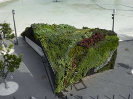 Plaza de Espana, Tenerife, photo Roland Halbe, 3