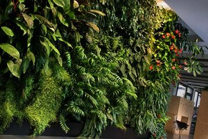 Fondation Nicolas Hulot, Boulogne-Billancourt