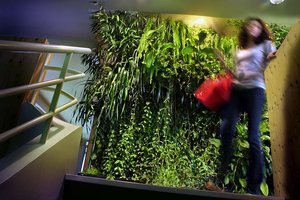 Fondation Nicolas Hulot, Boulogne-Billancourt