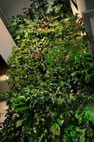 Cabinet Delannoy, Nexus, Paris