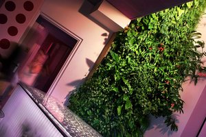 Cabinet Delannoy, Nexus, Paris