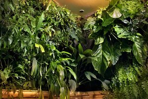 Palais de la Découverte, Paris