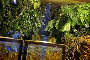 Palais de la Découverte, Paris