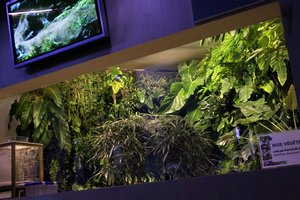 Palais de la Découverte, Paris