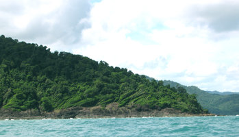 Anemomorphosis on rocks - Est Thailande