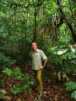 Patrick Blanc in the understorey , Andaman, March 2008