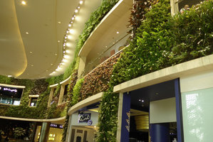 360 Mall, Kuwait, Hanging Vertical Gardens by Patrick Blanc
