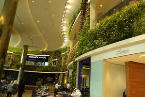 360 Mall, Kuwait, sinuous Hanging Vertical Gardens by Patrick Blanc, 8 years after plant installation