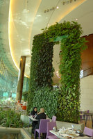 360 Mall, Kuwait, Vertical Gardens by Patrick Blanc, one open green door