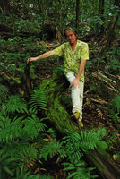 Patrick Blanc, Ferns, Mosses, Algae, Costa Rica, Jan. 2011