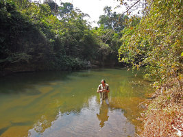 Patrick Blanc dans ruisseau à Cryptocoryne crispatula, Vientiane, Laos, Janvier 2012