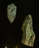 Design by Patrick Blanc of the plant species names on the rocks of the Dreamscape Garden at Changi T 2