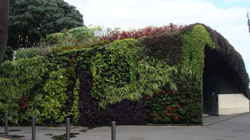 Plaza Espagna, Santa Cruz de Tenerife, Nov. 2010