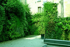 Square Vinet, Bordeaux, vertical garden by Patrick Blanc, June 2005