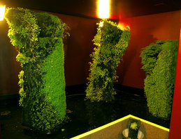 Halong Bay, exhibition Folies Végétales by Patrick Blanc, Espace EDF Electra,Paris