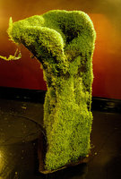 Halong Bay, one mossy chair, exhibition Folies Végétales by Patrick Blanc, Espace EDF Electra,Paris