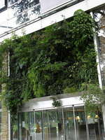 Vertical Garden by Patrick Blanc for the exhibition Etre Nature, Fondation Cartier, Paris, Sept. 1998