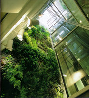 Hotel particulier, Paris, From bellow