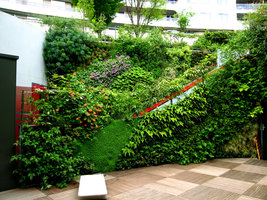 Ken Club, Vertical Garden by Patrick Blanc, Paris