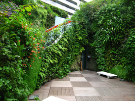 Ken Club, Vertical Garden by Patrick Blanc, Paris
