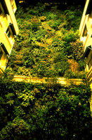 Pershing Hall Hotel, Vertical Garden by Patrick Blanc, at night