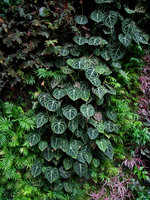 Toulouse, Astralia, Cité de l\\\&#039;Espace