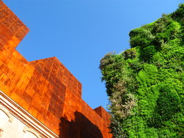 Caixa Forum, Vertical Garden top and Museum, Septembre 2008, Vertical Garden by Patrick Blanc 