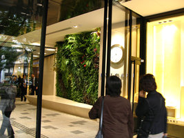 Omote Sando Gyre, Tokyo