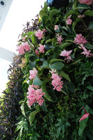 Lan Restaurant, Shanghai