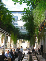 Café Trussardi, hanging garden by Patrick Blanc, Milano