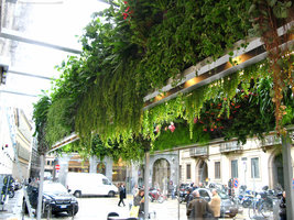 Café Trussardi, hanging garden by Patrick Blanc, Milano