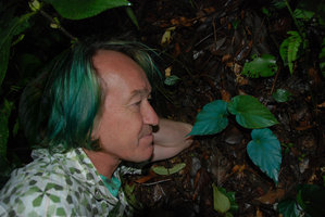 Patrick Blanc in front of  Begonia pavonina, Cameron Highlands, Malaysia, August  2011
