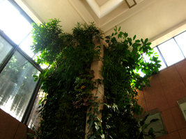 Ambassade de France , New Delhi, Pillar top