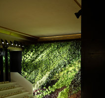 Stella Mc Cartney  Fashion Show