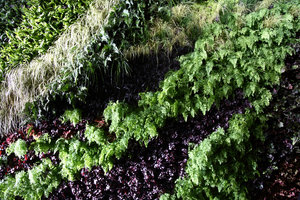 Stella Mc Cartney  Fashion Show