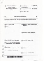 First Patent Mur Végétal, 1988