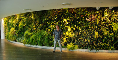 Patrick Blanc, Lounge Qantas, Sydney, Nov 2011