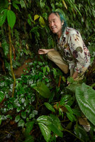 Patrick Blanc above a vegetative carpeting Pentastemona egregia population, overshaded by the bigger Elatostema and Schismatoglottis species, Anai Valley, West Sumatra, Dec. 2016