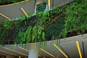 Aeschynanthus, Anthurium, Nephrolepis, Tradescantia, Rhipsalis, Ludisia on vertical garden fences, Siam Paragon, Bangkok