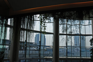 Aeschynanthus, Dischidia and Rhipsalis cascading from the balustrade and highrise buildings behind the diamond glass fence, Siam Paragon, Bangkok